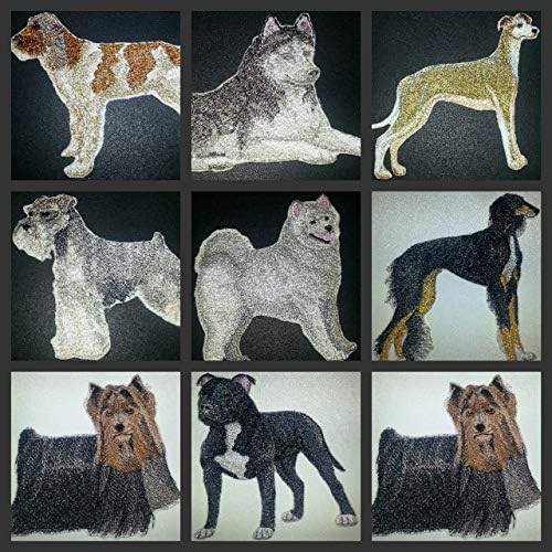 דיוקנאות כלבים מותאמים אישית מדהימים [Samoyed] ברזל רקום על תיקון/תפירה [5 x 4.5] [תוצרת ארהב]